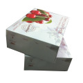 Fruit Corrugated Box for Cherry